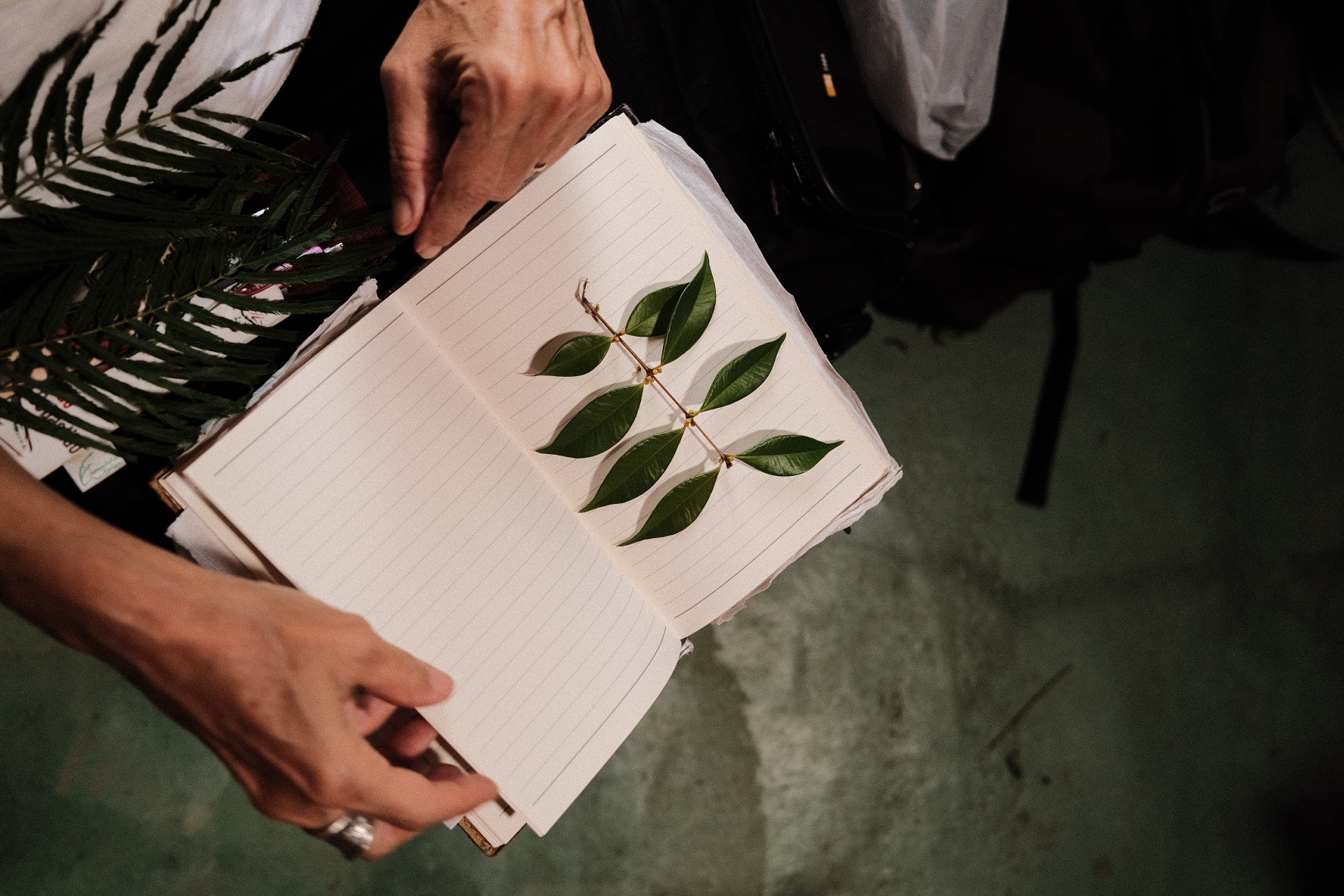 Crédito: Geoffrey Roy