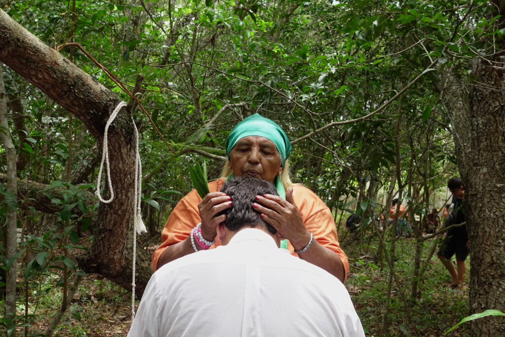 Crédito: Ludmila Moreira